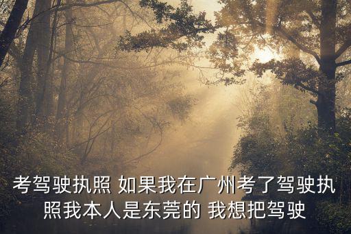 考駕駛執照 如果我在廣州考了駕駛執照我本人是東莞的 我想把駕駛