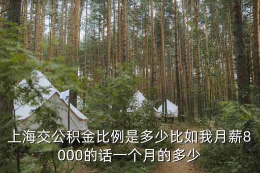 上海市住房公積金匯繳比率，上海地區五險一金個人交百分之多少