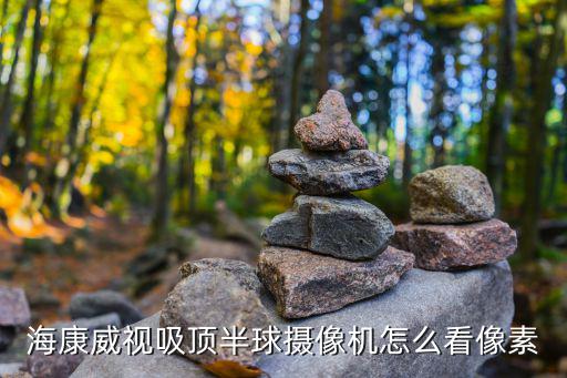 海康威視吸頂半球攝像機怎么看像素