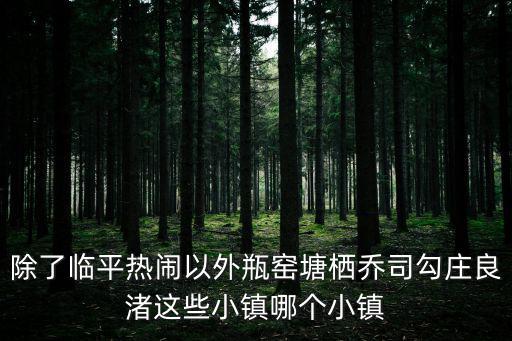 除了臨平熱鬧以外瓶窯塘棲喬司勾莊良渚這些小鎮(zhèn)哪個(gè)小鎮(zhèn)