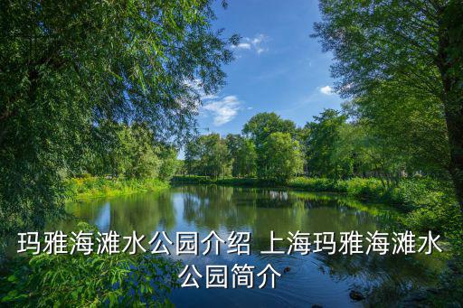 瑪雅海灘水公園介紹 上海瑪雅海灘水公園簡(jiǎn)介