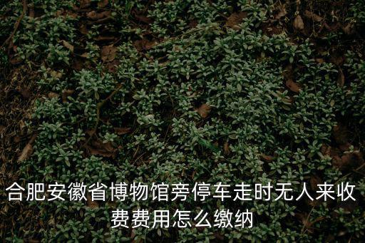 合肥安徽省博物館旁停車走時無人來收費費用怎么繳納