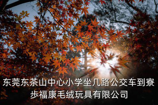 東莞東茶山中心小學坐幾路公交車到寮歩福康毛絨玩具有限公司