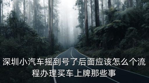 深圳小汽車搖到號了后面應該怎么個流程辦理買車上牌那些事