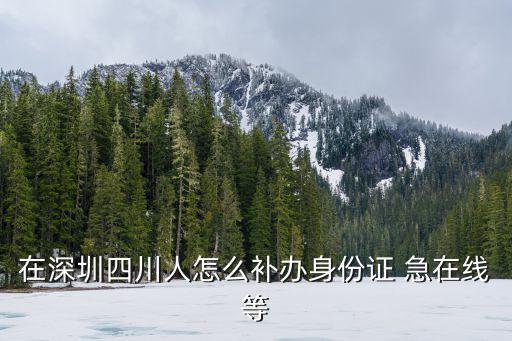 在深圳四川人怎么補辦身份證 急在線等