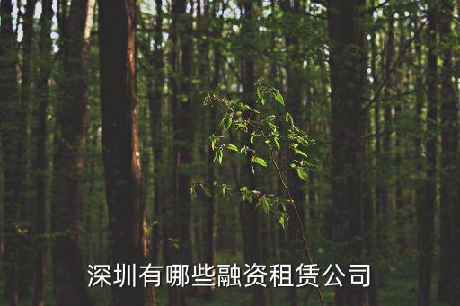 深圳有哪些融資租賃公司