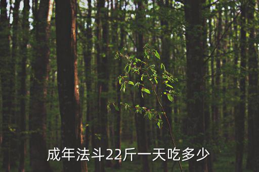 成年法斗一次吃多少，成年法斗22斤一天吃多少