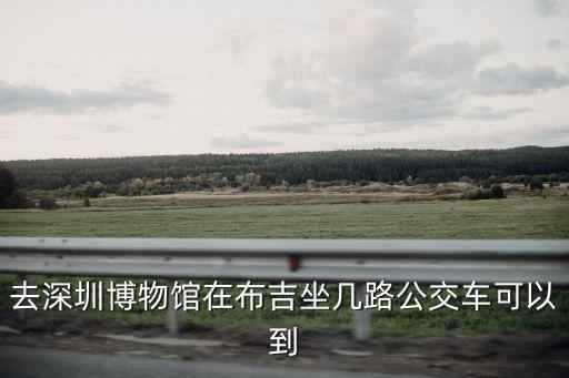 去深圳博物館在布吉坐幾路公交車可以到