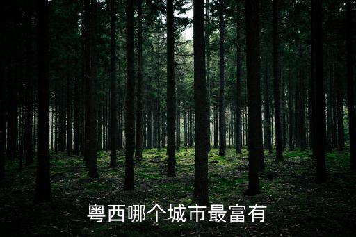 粵西哪個(gè)城市最富有