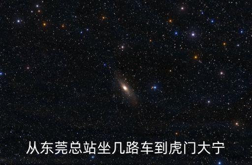 從東莞總站坐幾路車到虎門大寧