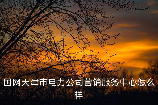 國網天津市電力公司營銷服務中心怎么樣
