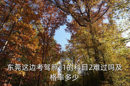 東莞駕校通過率，東莞哪間駕校比較好通過率高