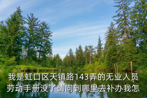 我是虹口區天鎮路143弄的無業人員勞動手冊沒了請問到哪里去補辦我怎