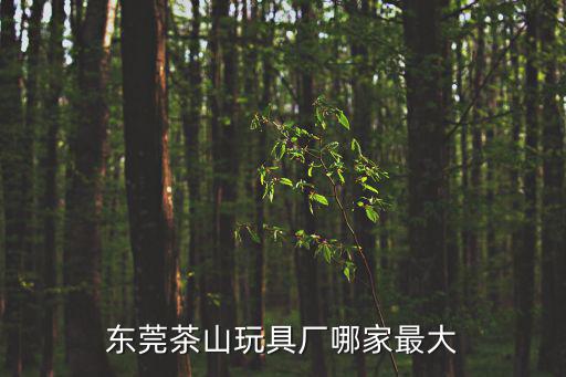 東莞茶山玩具廠哪家最大