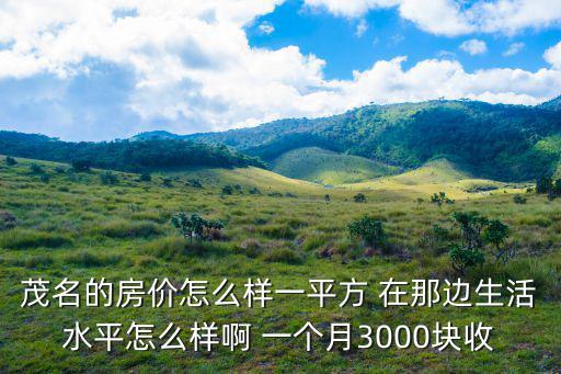 茂名的房價(jià)怎么樣一平方 在那邊生活水平怎么樣啊 一個(gè)月3000塊收