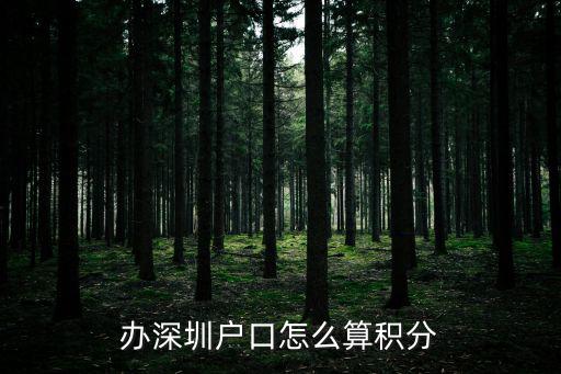 辦深圳戶口怎么算積分