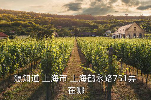 上海市航頭學(xué)校鶴永路，想知道 上海市 上海鶴永路751弄 在哪