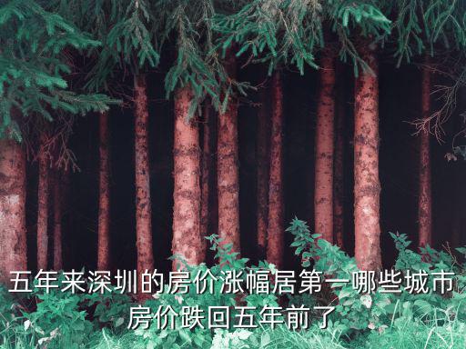 湛江哪個城市房價最漲，為什么湛江市房價比南寧市的高