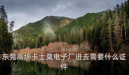 東莞高埗卡士莫電子廠進去需要什么證件