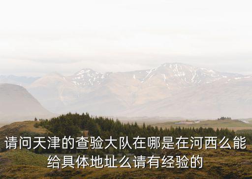 請(qǐng)問(wèn)天津的查驗(yàn)大隊(duì)在哪是在河西么能給具體地址么請(qǐng)有經(jīng)驗(yàn)的