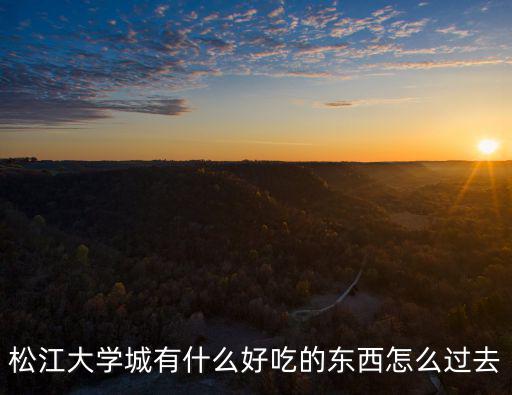 松江大學城有什么好吃的東西怎么過去