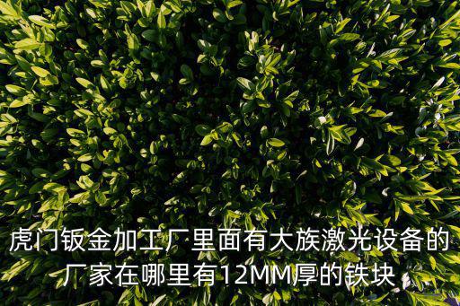 虎門鈑金加工廠里面有大族激光設(shè)備的廠家在哪里有12MM厚的鐵塊