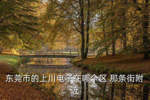 東莞市的上川電子在哪個區 那條街附近