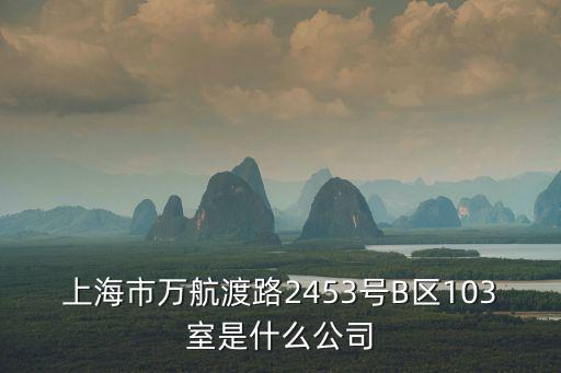 上海市裘博有限公司，上海市浦東新區(qū)川沙路855號是什么公司