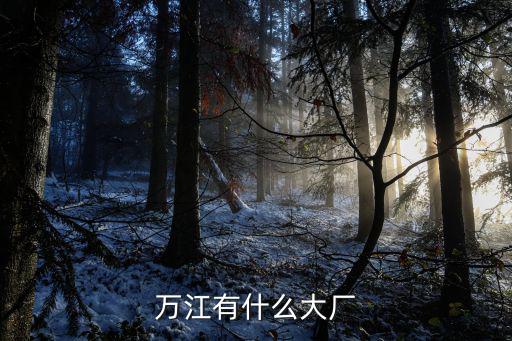 萬江有什么大廠
