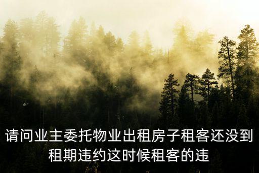 請問業主委托物業出租房子租客還沒到租期違約這時候租客的違