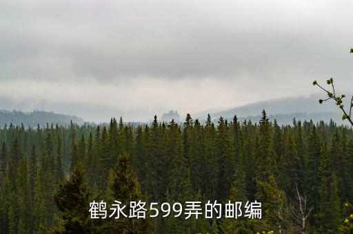 鶴永路599弄的郵編