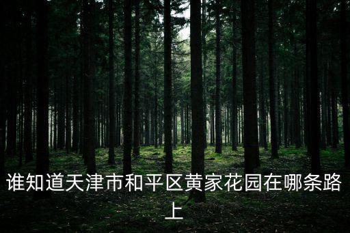誰知道天津市和平區(qū)黃家花園在哪條路上