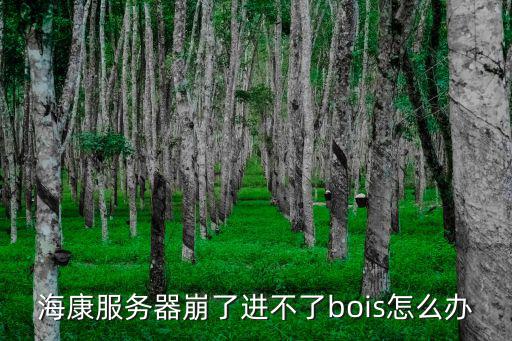 海康服務器崩了進不了bois怎么辦