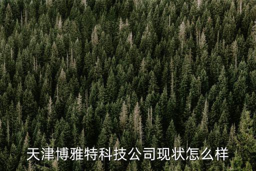 天津博雅特科技公司現(xiàn)狀怎么樣