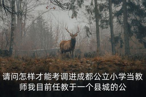 請問怎樣才能考調進成都公立小學當教師我目前任教于一個縣城的公