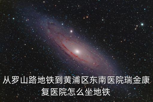 從羅山路地鐵到黃浦區東南醫院瑞金康復醫院怎么坐地鐵