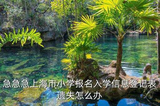 急急急上海市小學報名入學信息登記表遺失怎么辦