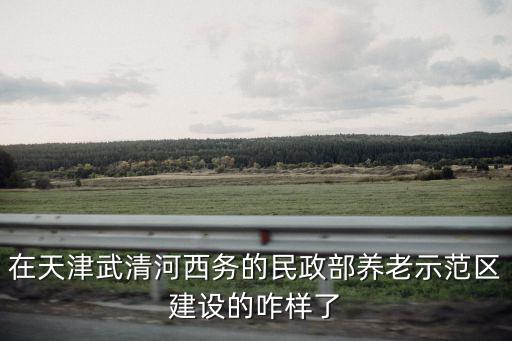 在天津武清河西務的民政部養老示范區建設的咋樣了
