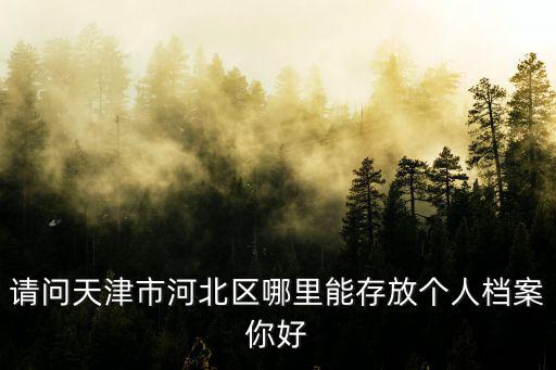 請問天津市河北區(qū)哪里能存放個人檔案你好