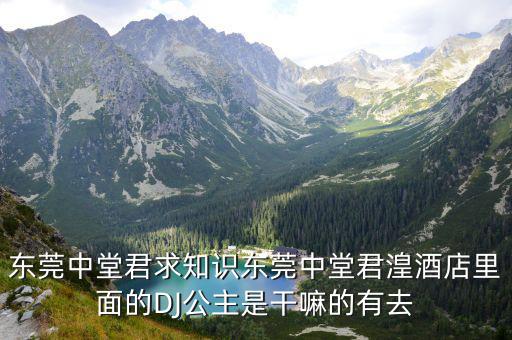 東莞中堂君求知識東莞中堂君湟酒店里面的DJ公主是干嘛的有去