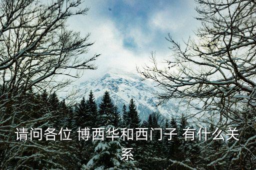 請問各位 博西華和西門子 有什么關系