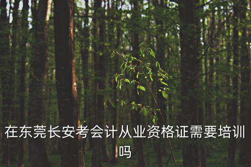 在東莞長安考會計從業資格證需要培訓嗎