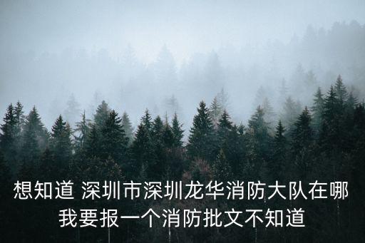 想知道 深圳市深圳龍華消防大隊(duì)在哪我要報(bào)一個(gè)消防批文不知道