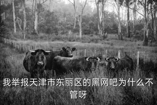 天津市東麗區黑惡勢力團伙，我舉報天津市東麗區的黑網吧為什么不管呀