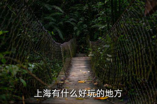 中國上海市國際音樂村，上海有什么好玩的地方