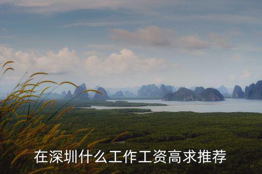 深圳什么工資高些，深圳什么工作工資高