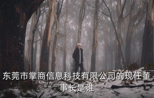 東莞市掌商信息科技有限公司的現(xiàn)任董事長是誰