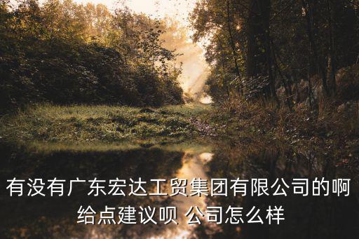 有沒有廣東宏達工貿集團有限公司的啊 給點建議唄 公司怎么樣