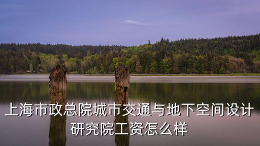 上海市政總院城市交通與地下空間設(shè)計(jì)研究院工資怎么樣