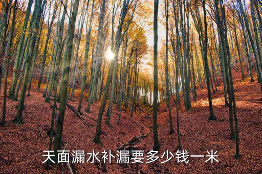天面漏水補漏要多少錢一米
